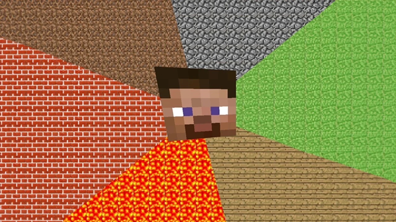 Minecraft Guy — Minecraft Steve head on a background of colored Minecraft block textures forming the advice animal template.