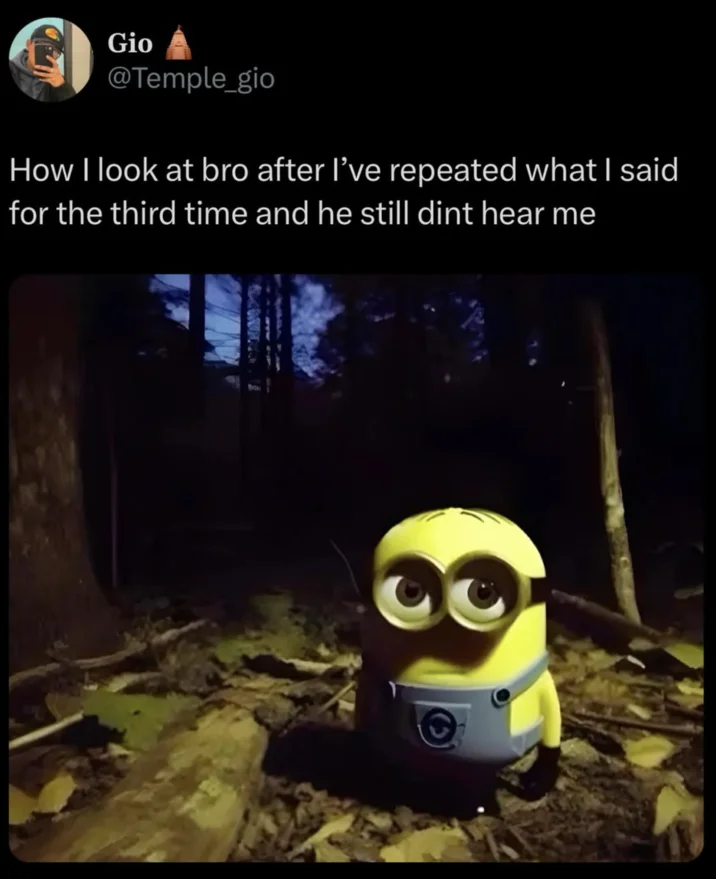 Minion Staring In The Forest — Twitter screenshot from Temple_gio using minion forest image as reaction to being ignored