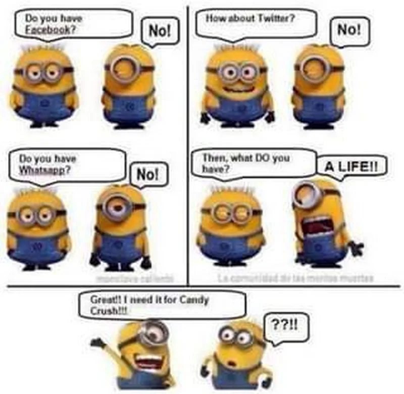 Minions Memes — Comic-panel layout featuring minions in conversation about social media platforms with punchline about living real life.