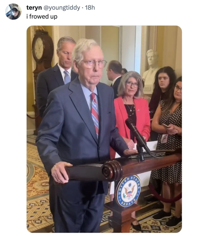 Mitch Mcconnell Freeze At Press Conference — Forum comment screenshot with adrenochrome conspiracy theories about McConnell