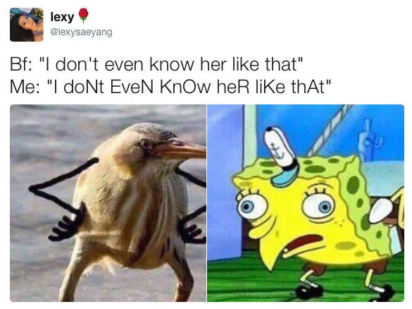 Mocking SpongeBob Text — Twitter post with alternating capitalization paired with both animal and SpongeBob reaction images.