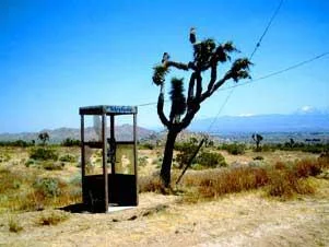 Mojave Phone Booth — Solitary phone booth in Mojave Desert beside gnarled Joshua tree with mountains and clear blue sky.