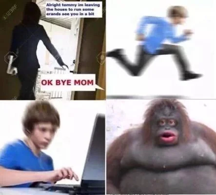 Four-panel reaction meme collage with Le Monke as reaction in bottom right panel.