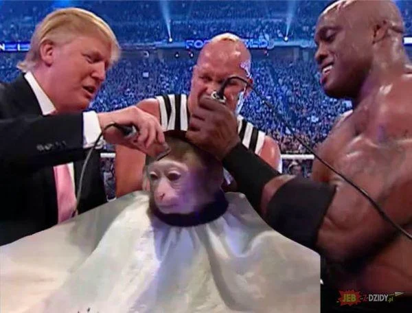 Monkey haircut image composited with a doctor in a lab coat