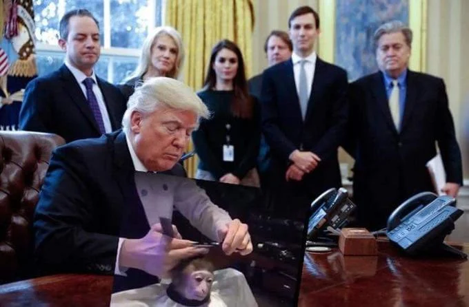 Donald Trump holding up a framed photo of the monkey haircut meme in the Oval Office