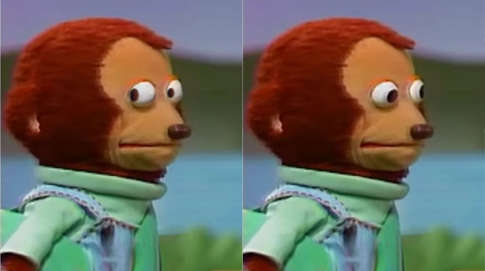 Clean two-panel template of monkey puppet in side profile with bulging eyes and concerned expression.