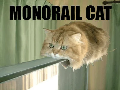 GIF variation of Monorail Cat with 'MONORAIL CAT' text showing orange tabby gripping metal track.