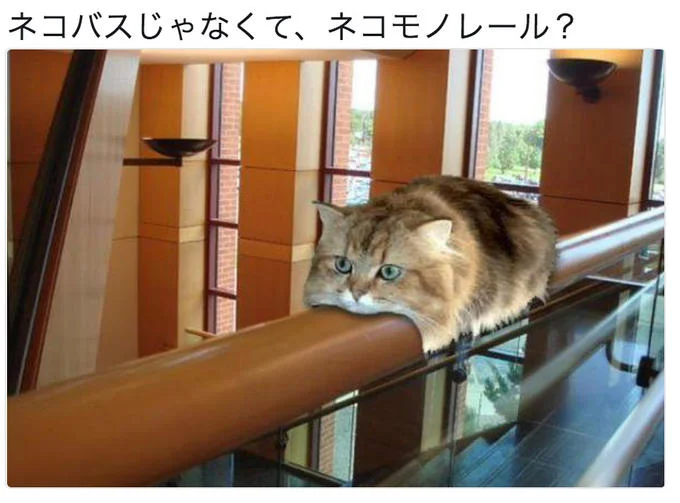 Monorail Cat — Fluffy cat gripping wooden monorail track with Japanese text overlay at top.