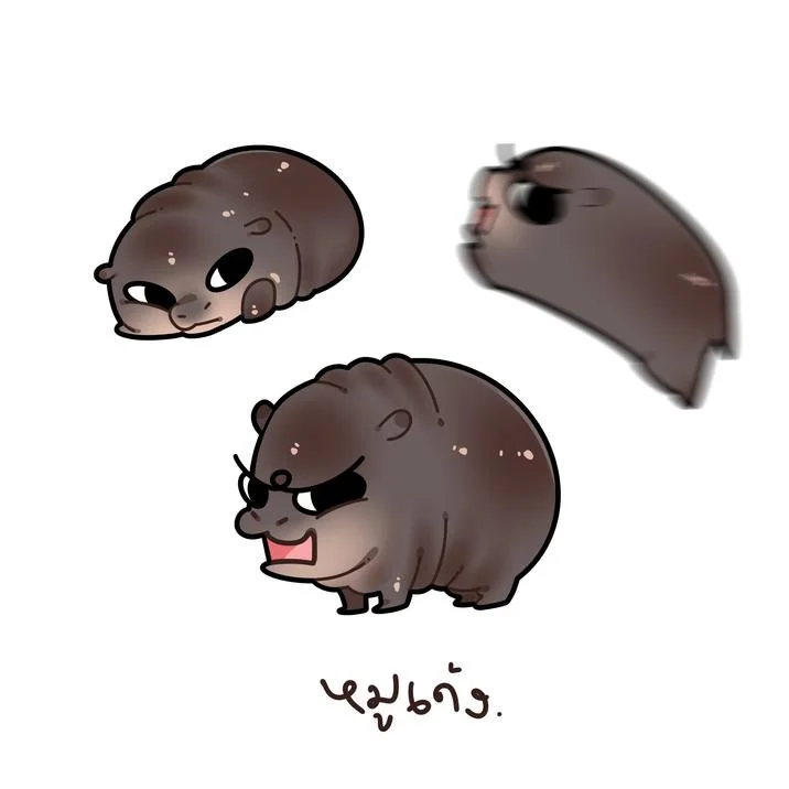 Moo Deng — Playful cartoon illustration featuring three stylized hippos with different emotions and Thai text.