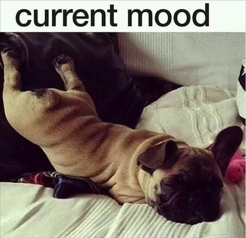 Cat lounging on bed with text 'current mood' expressing a relaxed emotional state