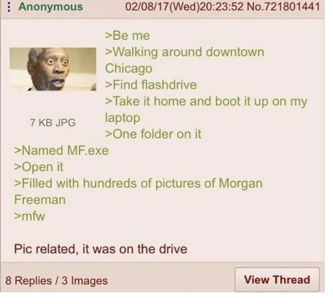4chan greentext post about a flash drive full of Morgan Freeman pictures
