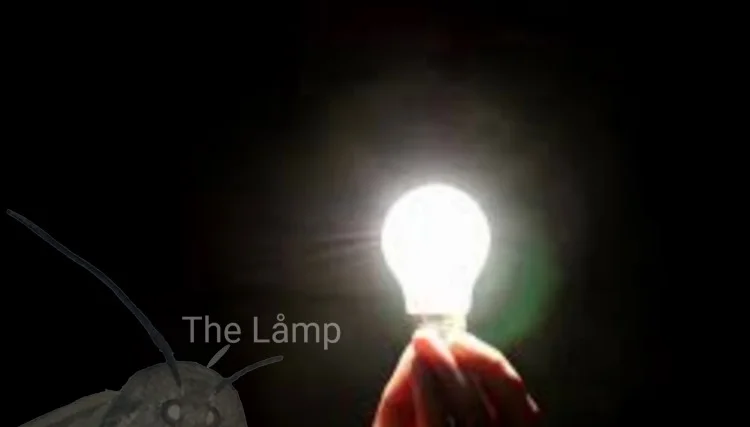 Moth Lamp — Moth silhouette positioned before brilliantly illuminated lightbulb against dark background.