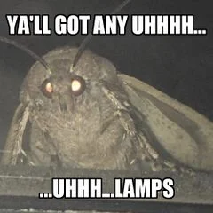 Moth Lamp — Moth photograph with all-caps text asking about lamps in stuttering fashion.
