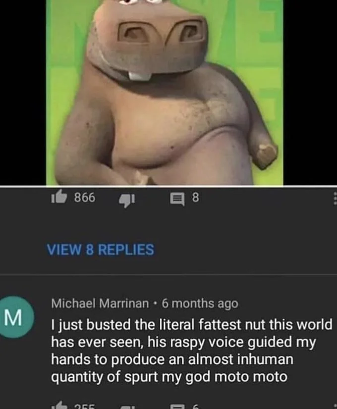 Screenshot of YouTube comment about Moto Moto with a still of the hippo above it