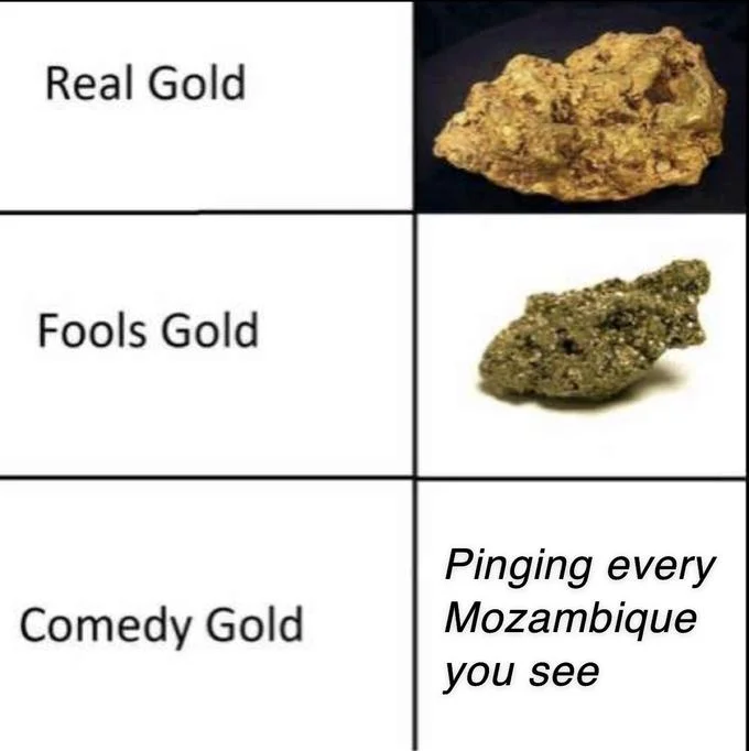 Mozambique Shotgun — Comedy gold meme captioned 'Pinging every Mozambique you see'