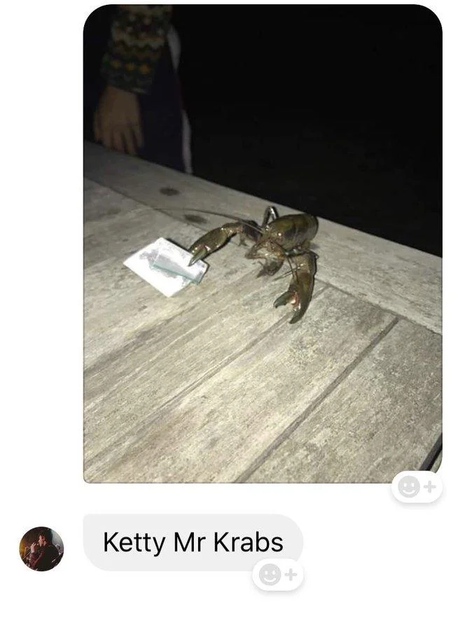Mr Krabs Overdoses On Ketamine — Crayfish holding a small baggie of powder captioned Ketty Mr Krabs