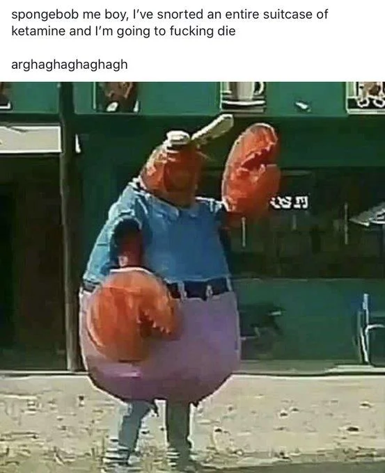 Mr Krabs Overdoses On Ketamine — Cursed Mr. Krabs mascot costume with ketamine snorting caption