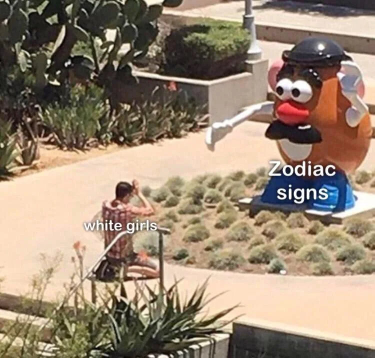 Meme of a giant Mr. Potato Head statue labeled 'Zodiac signs' attacking a person labeled 'white girls'