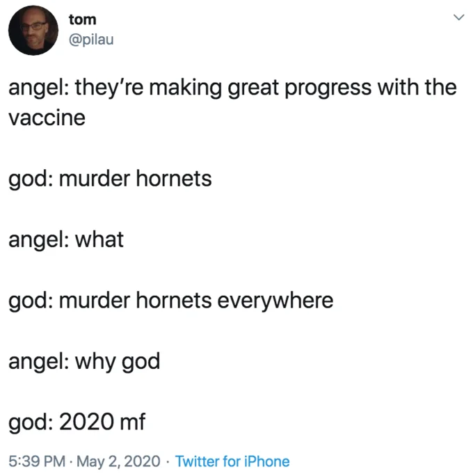 Murder Hornet Invasion — Angel-God dialogue tweet about vaccine progress versus murder hornets response.