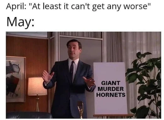 Murder Hornet Invasion — Don Draper whiteboard meme contrasting April 'at least it can't get worse' with May murder hornets.