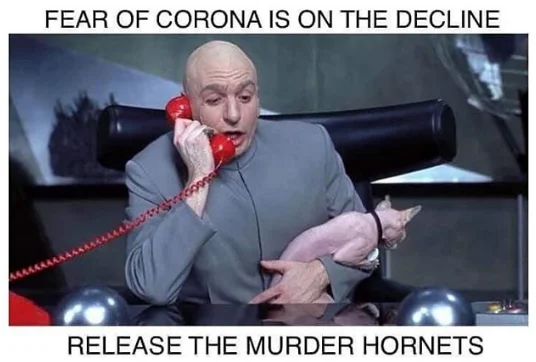 Murder Hornet Invasion — Dr. Evil meme with text about fear declining and releasing murder hornets.