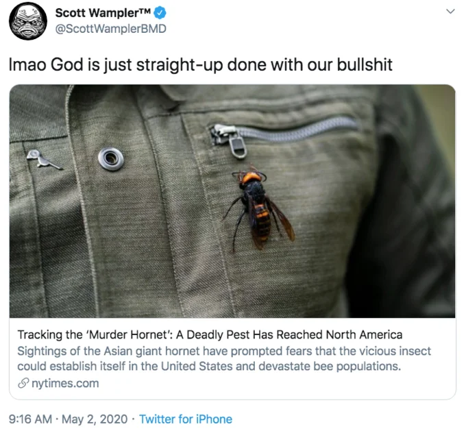 Murder Hornet Invasion — Tweet expressing 'God is done with our bullshit' about murder hornets during COVID.