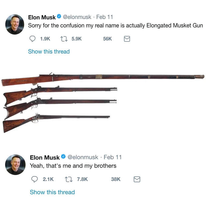Muskposting — Fake Elon Musk tweet with a long musket labeled as him beside three shorter muskets as his brothers.