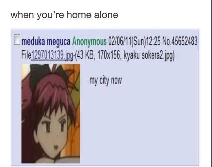 When you're home alone caption above original my city now 4chan screenshot