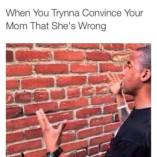 My Face When (MFW) — Man gesturing at a brick wall as if arguing, captioned about convincing your mom she is wrong