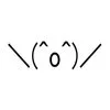 My Life Is Over — Iconic ASCII kaomoji emoticon \(^o^)/ in purest form expressing desperation.