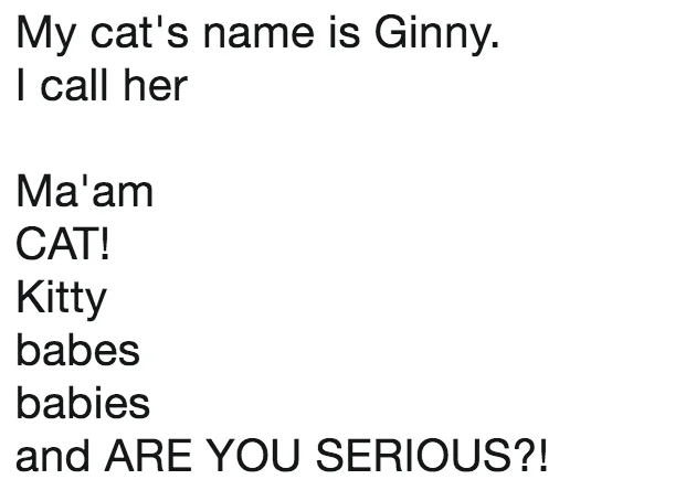 My Pet's Name Is — Tweet listing food-themed nicknames for a cat named Finn