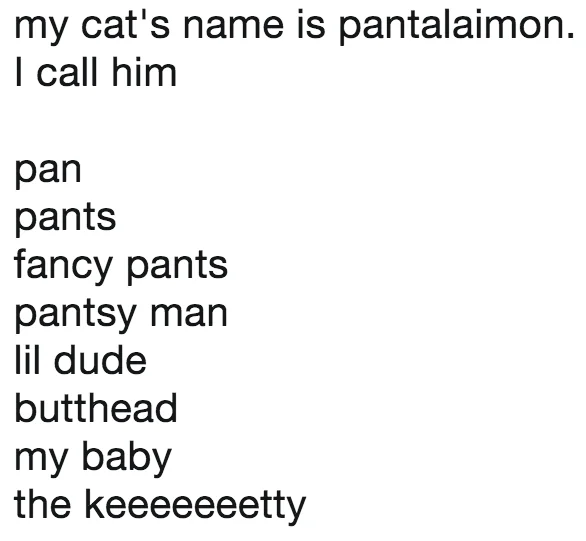 My Pet's Name Is — Tweet listing exasperated nicknames for a cat named Ginny