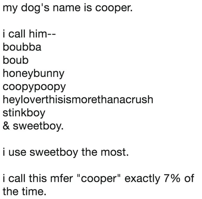 My Pet's Name Is — Tweet listing many silly nicknames for a dog named Cooper