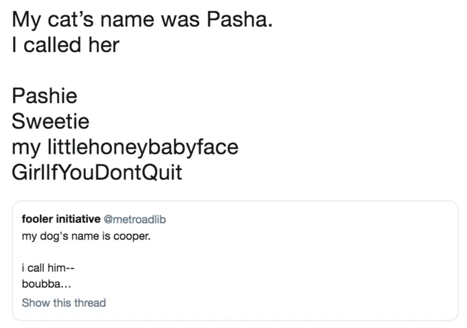 My Pet's Name Is — Reply tweet with silly nicknames for a cat named Pasha
