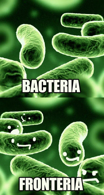 Name Puns — Two-panel meme of bacteria under microscope labeled Bacteria and with smiley faces labeled Fronteria.