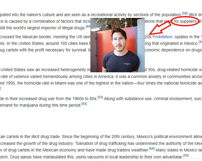 Name Soundalikes — Wikipedia passage with 'for suppliers' circled and an arrow to Markiplier's photo