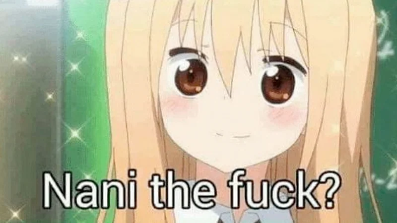 Blushing anime girl with 'Nani the fuck?' caption in white text