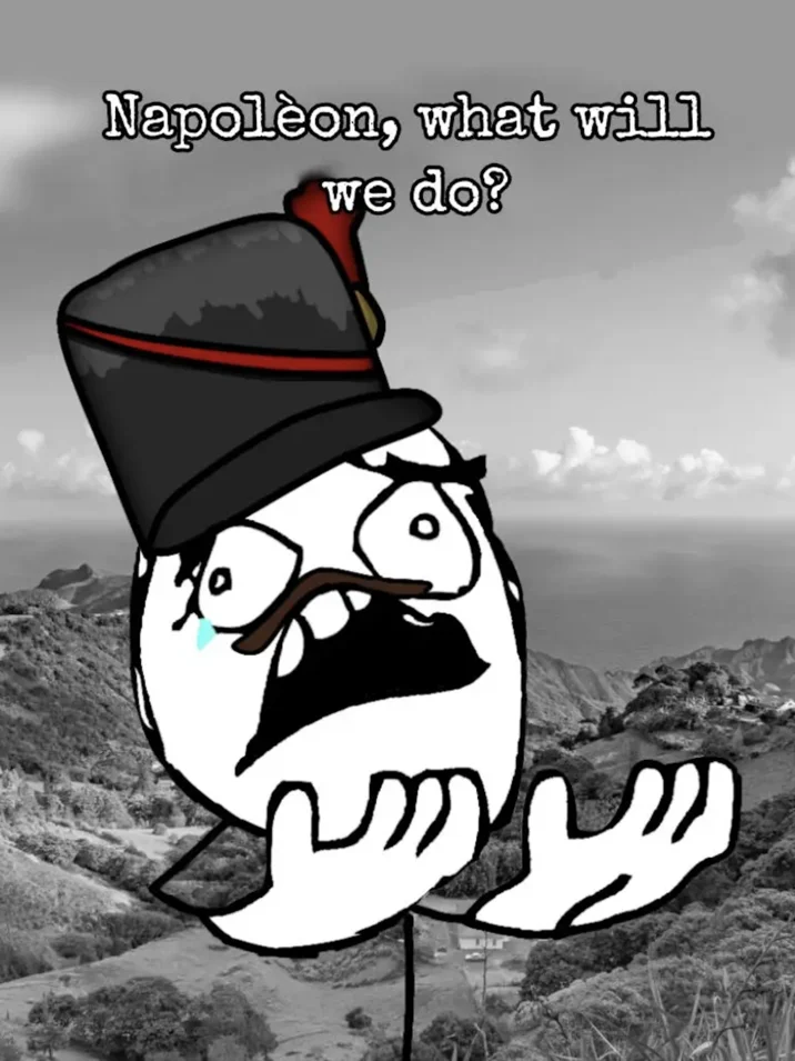 Napoleon There Is Nothing We Can Do — Rage comic face in Napoleon hat over grayscale island scenery with caption 'Napolèon, what will we do?'