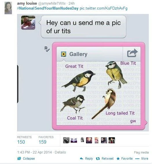 #NationalSendANudeDay — Tweet showing text reply with a bird identification chart of tit species in response to a nude request