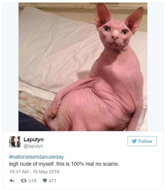Tweet showing a hairless sphynx cat as a 'nude' for #nationalsendanudeday