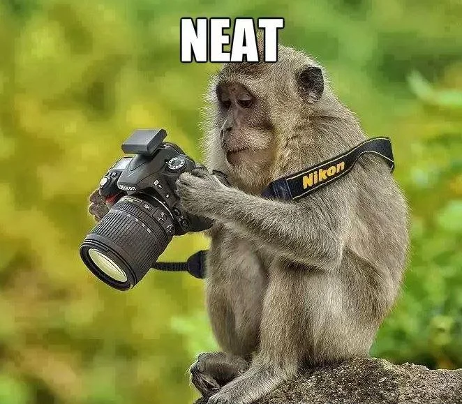 Monkey holding a Nikon DSLR camera with NEAT caption