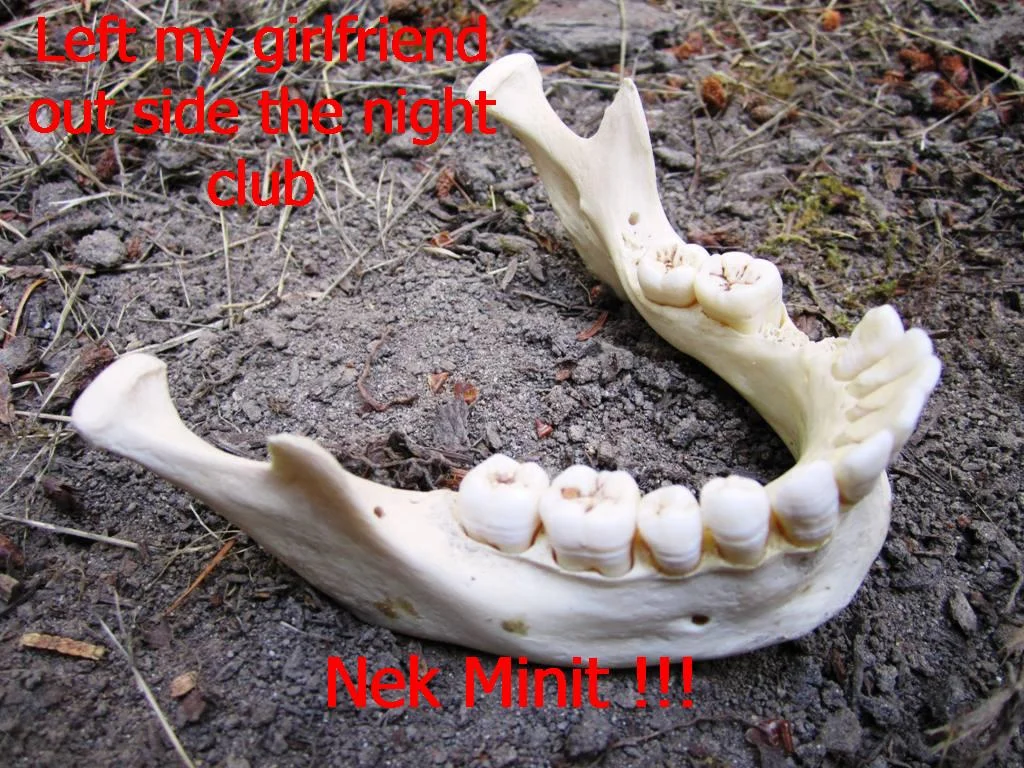 Nek Minnit — Animal jawbone in dirt captioned Left my girlfriend outside the night club Nek Minit