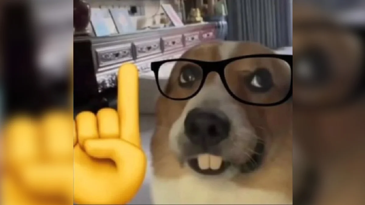 Nerd Dog — Dog wearing nerd glasses with a yellow pointing finger emoji beside it
