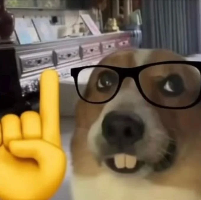 Nerd Dog meme: dog with glasses and pointing finger emoji