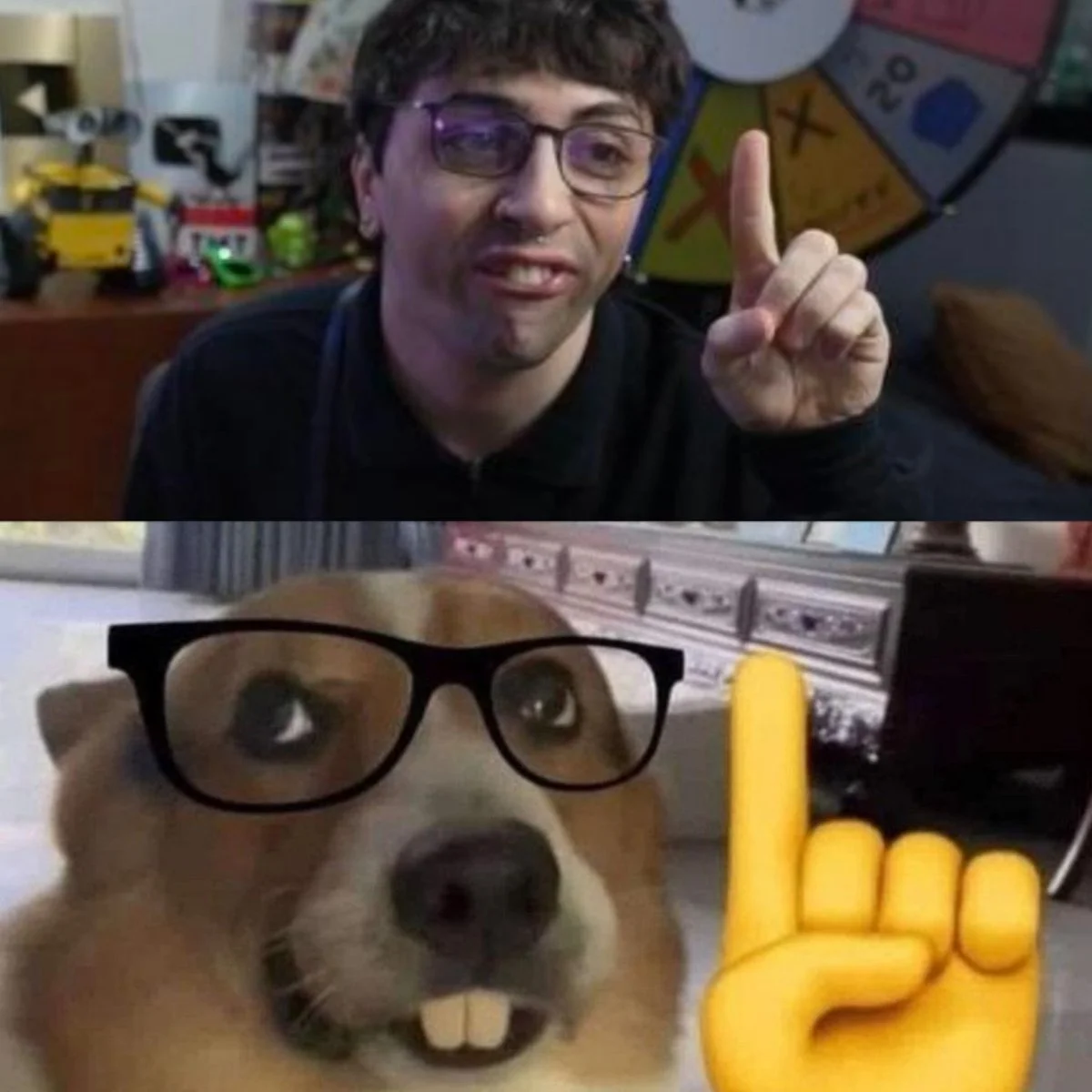 Nerd Dog