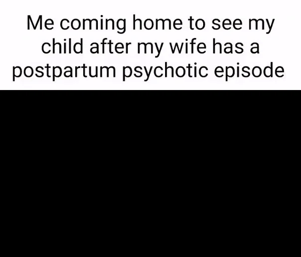 Nermal In Trashcan — Meme GIF with caption about coming home after wife's postpartum episode above dark trashcan POV frame