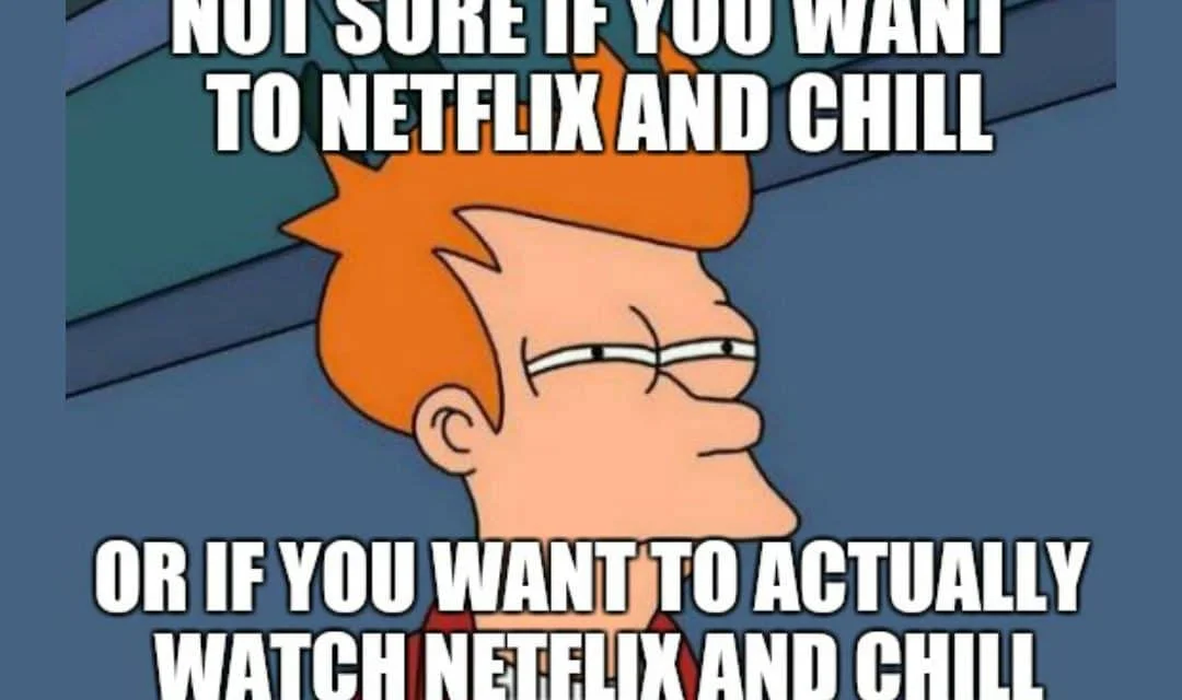 A two-character reaction meme with text about finding a genuinely good show to watch during a Netflix and Chill date.