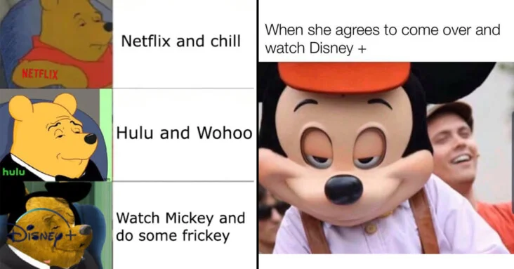 Netflix and Chill — A Winnie the Pooh-style multi-panel meme comparing different streaming services and their implied activities as innuendo.
