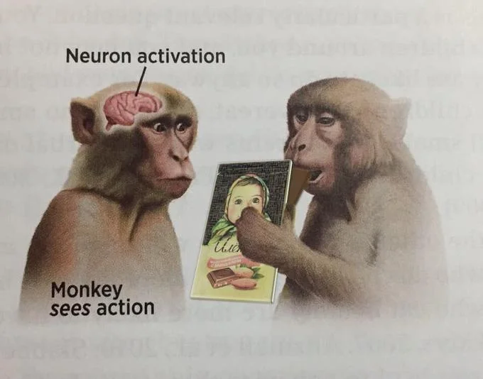 Neuron Activation meme edited so the second monkey holds an Alyonka Russian chocolate bar instead of a banana
