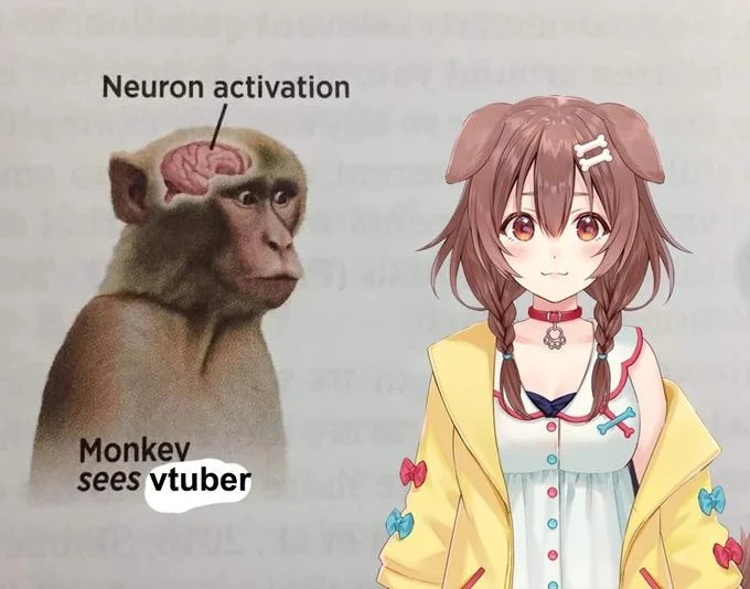 Neuron Activation meme with the banana-eating monkey replaced by an anime VTuber girl, captioned 'Monkey sees vtuber'